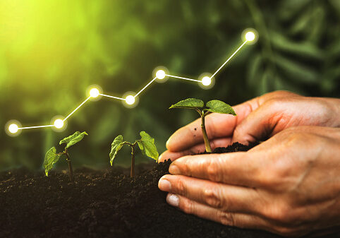 Concept of business growth, profit, development and success. Hand planting seedling growing step in garden with sunshine.